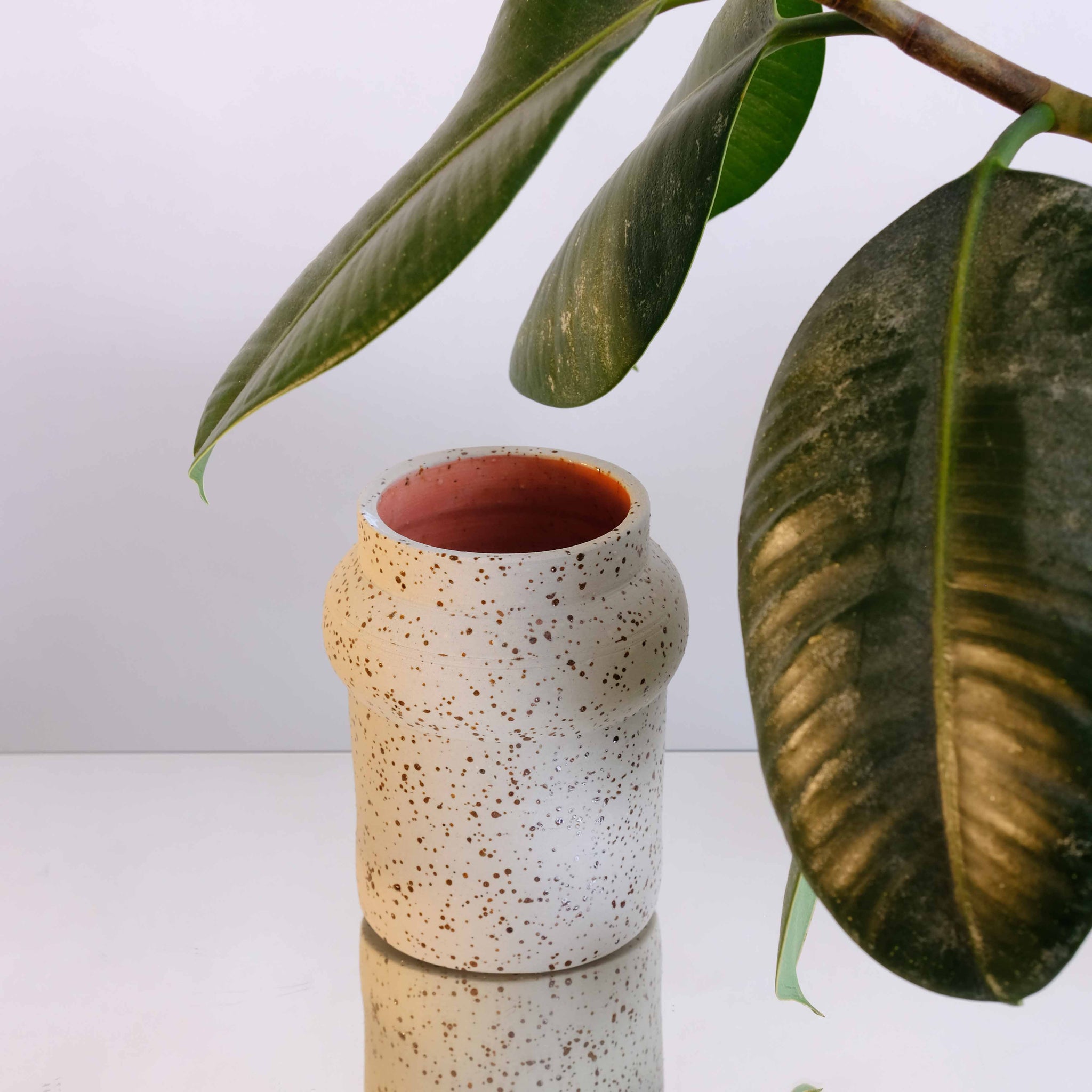 Limited Edition Alfa Vase