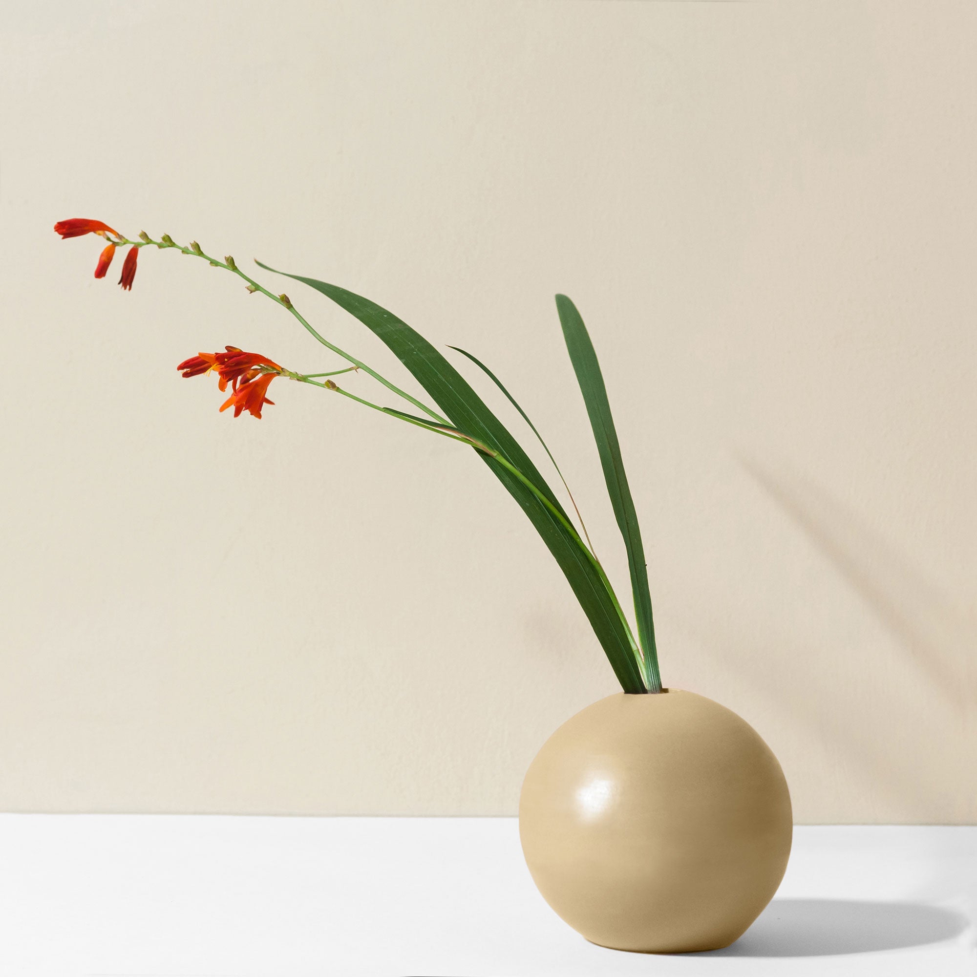 Rome Vase and Tealight Holder