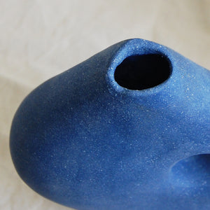 Pleomorph Blue Vase